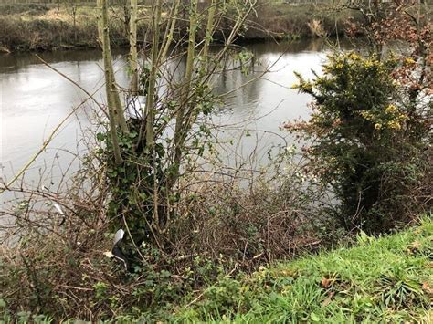 Saint Jean La Poterie Sa Voiture Tombe Dans Loust Le Conducteur