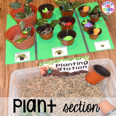 Flower And Garden Shop Dramatic Play Pocket Of Preschool In