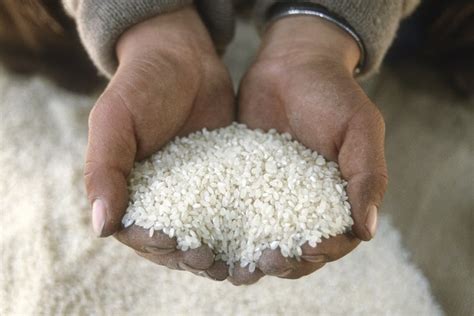 Ap S Aval Judicial Brasil Compra Mil Toneladas De Arroz Importado