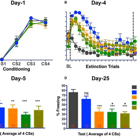 Good Extinction Memory 24 H After Successful Retrieval— Extinction Download Scientific