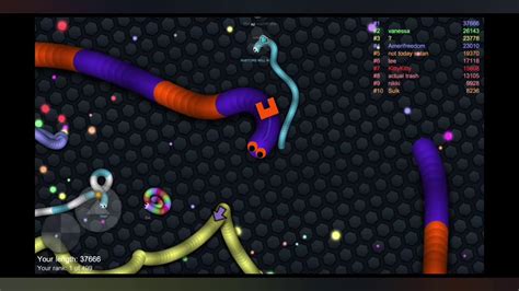 Slither Io High Score Youtube