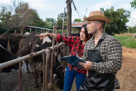 Premium Photo Asian Farmer Work In A Rural Dairy Farm Outside The