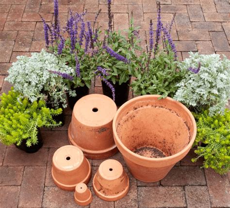 How to Prepare Flower Pots & Containers for Spring | Landscaping Blog