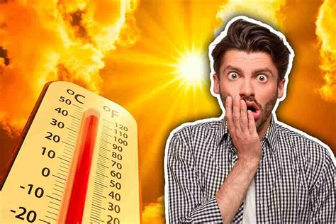 Gli Esperti Lanciano L Allarme Dopo Il Caldo Record Del 2023 Cosa