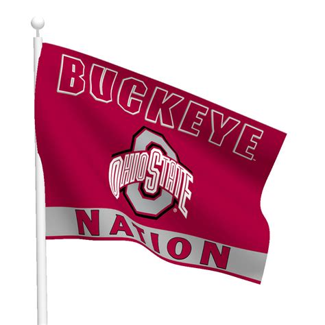 Ohio State University Polyester Buckeye Nation Flag