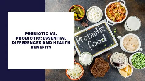 Präbiotika vs Probiotika Wesentliche Unterschiede und gesundheitliche