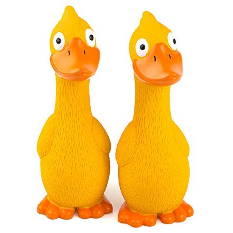 Best Rubber Duck Dog Toy For Your Furry Friend