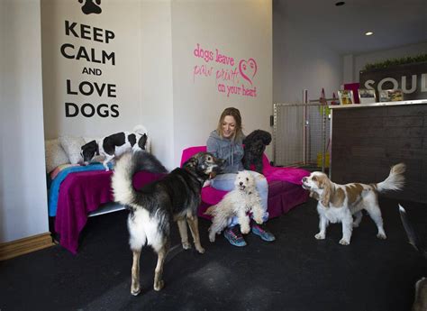 Is Dog Daycare Good Or Bad