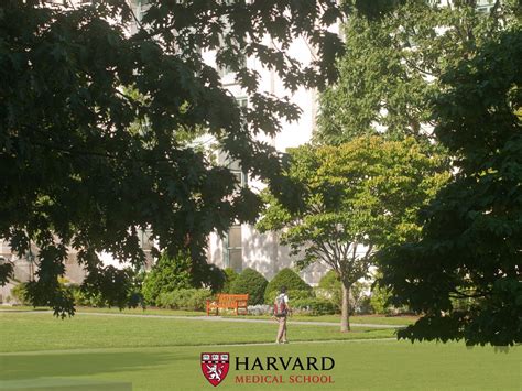 Harvard University Wallpapers - Wallpaper Cave