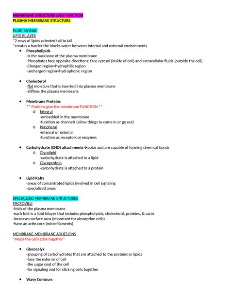 Exam 2 Study Guide Human Physiological Anatomy I Kn 251 Docsity