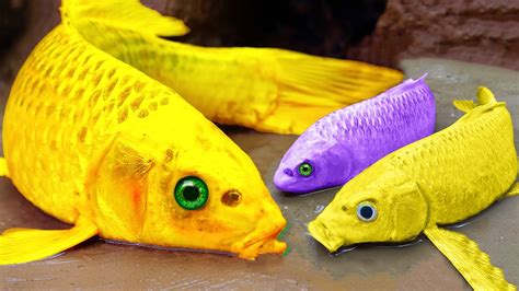 Yellow Fish Stop Motion Cooking ASMR Mukbang Catfish KOI Colorful