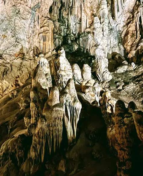 The Nerja Caves | Guinness Book Records Winner! | 2023