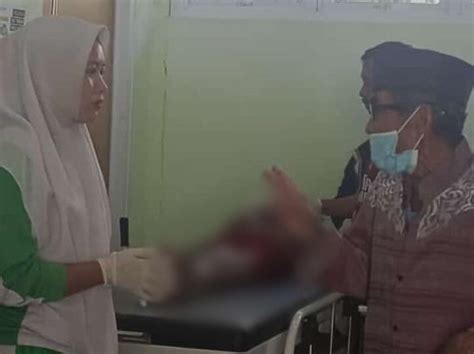 Begini Kronologi Dan Fakta Tewasnya Bocah Perempuan Di Kolong Jelutung