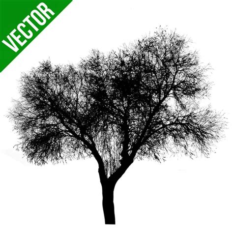 Dead tree silhouette Vector Art Stock Images | Depositphotos