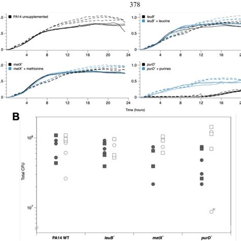 A Growth Of Pseudomonas Aeruginosa Pa14 And Transposon Insertion Download Scientific Diagram