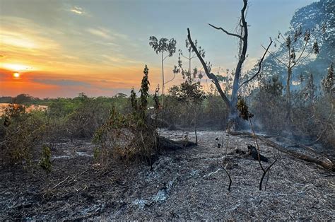 Pantanal em chamas 2023 incêndios atingem o bioma novamente fotos