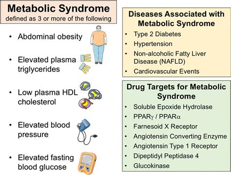 Frontiers Multi Target Approaches In Metabolic Syndrome