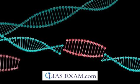 Jumping genes or transposons - IAS EXAM