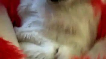 Raming The Fox XVIDEOS