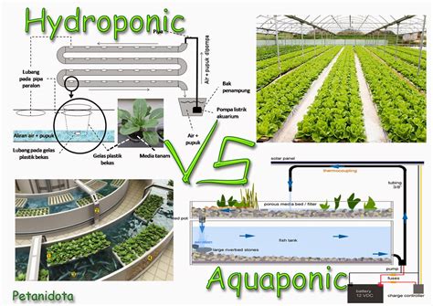 Diagram Of Hydroponics System