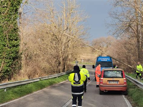 La Bufera Non Risparmia Cerveteri Gravi Danni Causati Dal Vento