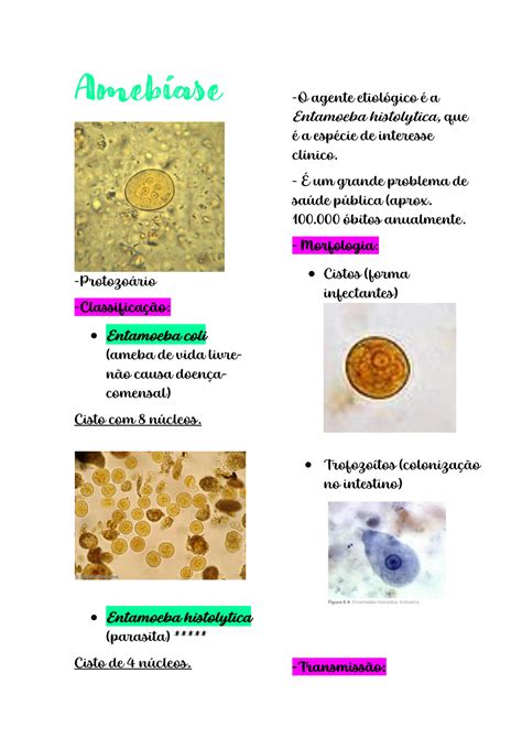 Solution Parasitologia Doen As Parte Studypool