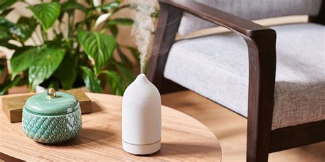 9 Best Essential Oil Diffusers To Buy 2022 Top Diffuser Reviews