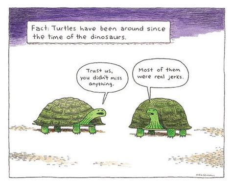 30+ Hilarious Turtle Memes That Will Make Your Day Brighter!