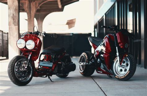 Custom 2022 Honda Ruckus