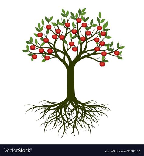 Green Spring Tree With Root Vector Illustration Plant In Garden