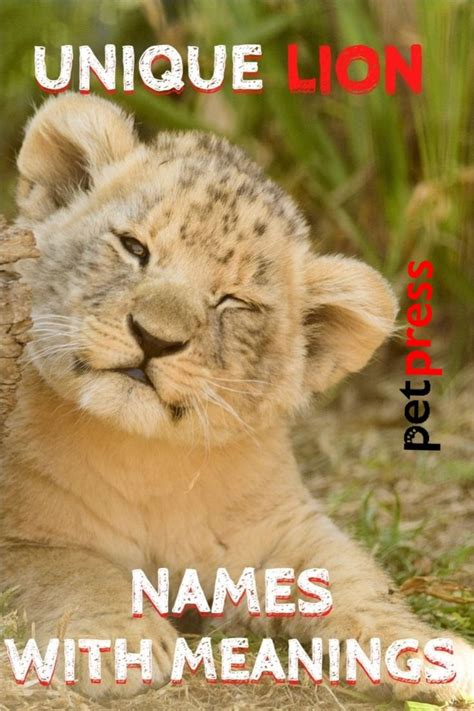 30 Unique Lion Names With Meanings