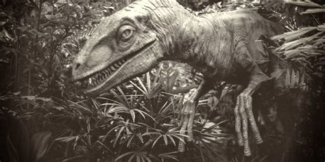 10 Rarest Dinosaurs Ever Discovered - Rarest.org