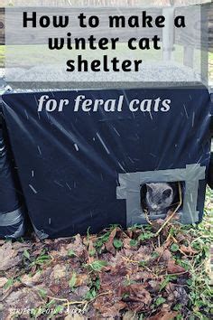 20 Cat shelters for winter ideas in 2022 | cat shelters for winter, cat ...