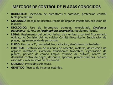 Manejo Integrado De Plagas Mip En El Cultivo Del Algodón Presenta…