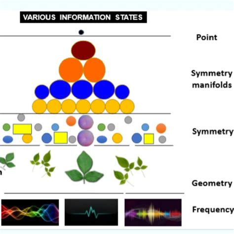 The Pictures Of Four Exotic Matter States The Pictures Have Been Taken