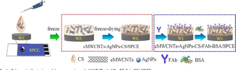 Figure 1 From An Electrochemical Immunosensor Based On A Carboxylated