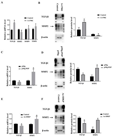 Biomedicines Free Full Text Abnormal Expression Of Prolyl