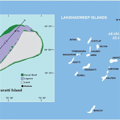 morphological  molecular identification  marine copepod