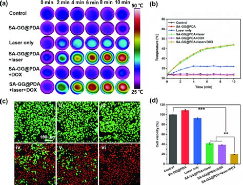 In Vitro Anticancer Efficiency A The Infrared Thermal Imaging And