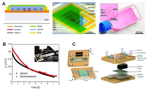 Electrochemical Sensors For On Chip O2 Measurement A Cross Section