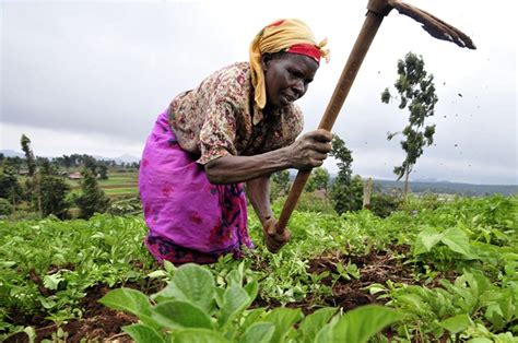 Empowering Africas Women Farmers Timeskuwait