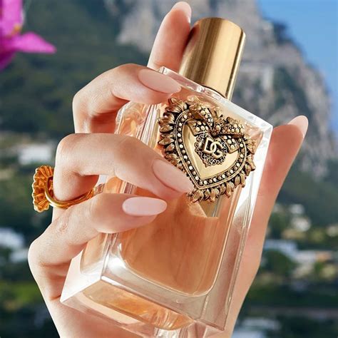 Devotion O Perfume Luxuoso Da Dolce And Gabbana Inspirado Em Panetone Seja Criativo