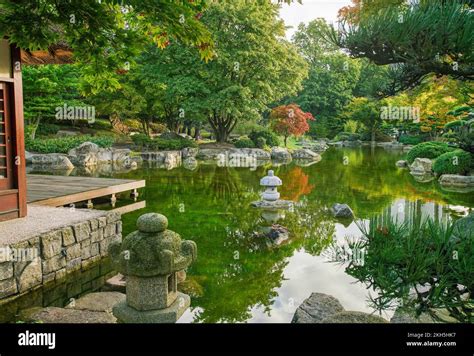 Autumn Coming In Japanese Garden Botanical Garden Of Hamburg Planten