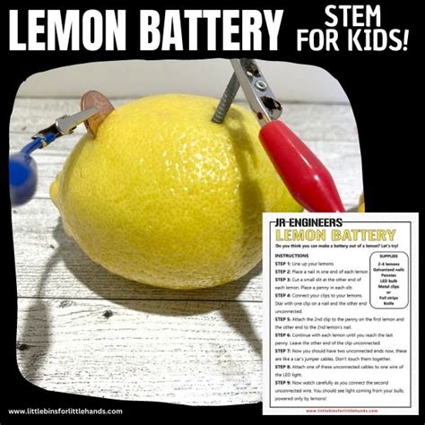 How To Make A Lemon Battery Little Bins For Little Hands