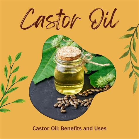 Castor Oil Benefits And Uses Cliara Essential Oils