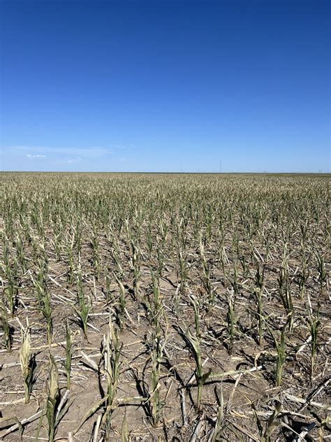 Kansas Corn Says Drought Will Have Major Impact On Feed Water Supplies