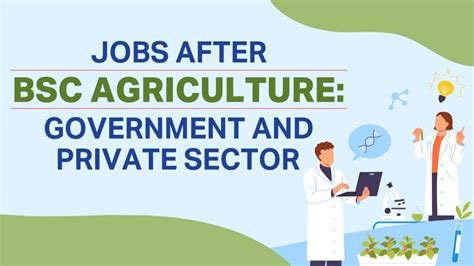 Jobs After BSc Agriculture Government And Private Sector