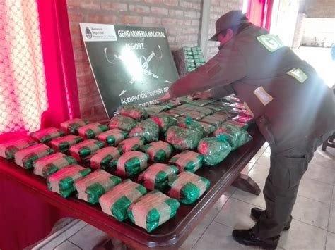 Incautan más de 24 kilos de hojas de coca ocultos en encomiendas