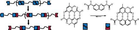 Complementary Quadruple Hydrogen Bonding In Supramolecular Copolymers Journal Of The American