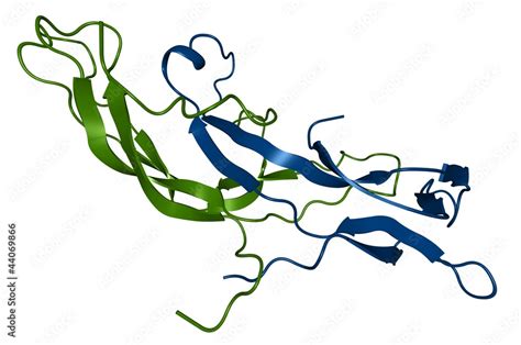 Human chorionic gonadotropin (HCG) molecule - chemical structure Stock ...